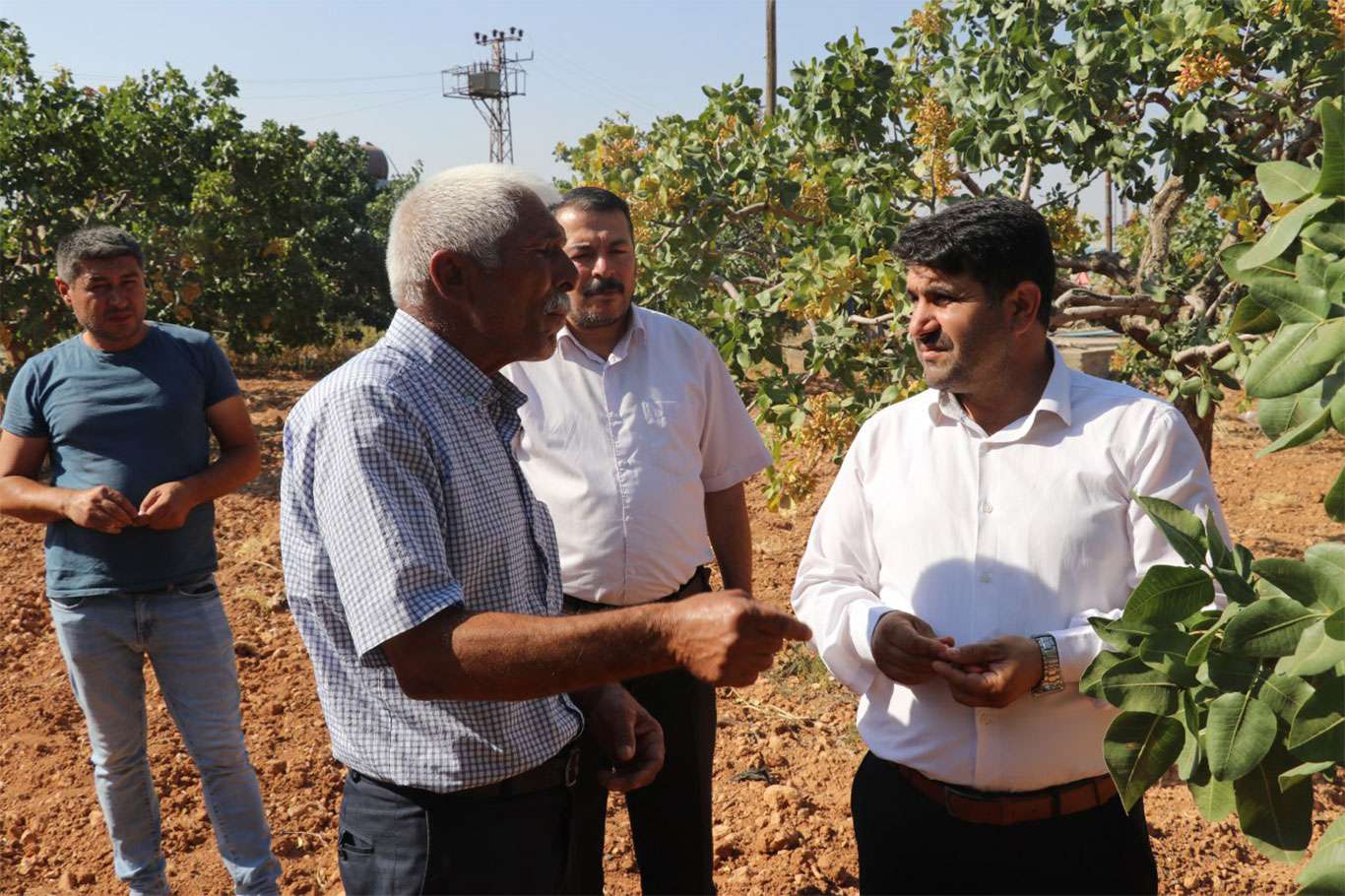 Antep fıstığı için taban fiyat neden uygulanmıyor? Antep fıstığı için taban fiyat neden uygulanmıyor?